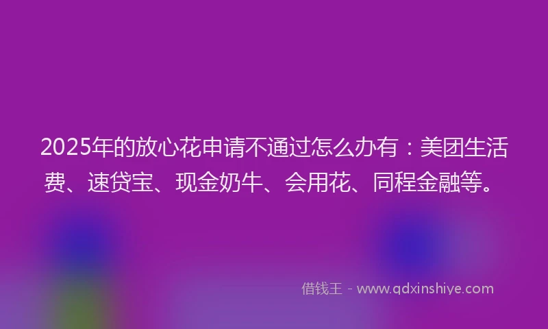 2025年的放心花申请不通过怎么办有：美团生活费、速贷宝、现金奶牛、会用花、同程金融等。
