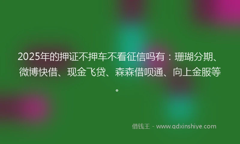 2025年的押证不押车不看征信吗有：珊瑚分期、微博快借、现金飞贷、森森借呗通、向上金服等。