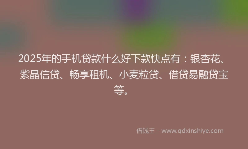 2025年的手机贷款什么好下款快点有：银杏花、紫晶信贷、畅享租机、小麦粒贷、借贷易融贷宝等。