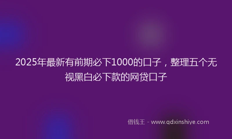 2025年最新有前期必下1000的口子，整理五个无视黑白必下款的网贷口子