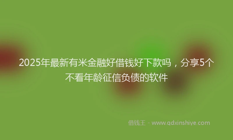 2025年最新有米金融好借钱好下款吗，分享5个不看年龄征信负债的软件