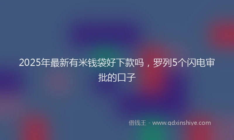 2025年最新有米钱袋好下款吗，罗列5个闪电审批的口子