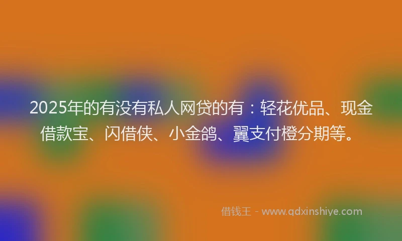 2025年的有没有私人网贷的有：轻花优品、现金借款宝、闪借侠、小金鸽、翼支付橙分期等。