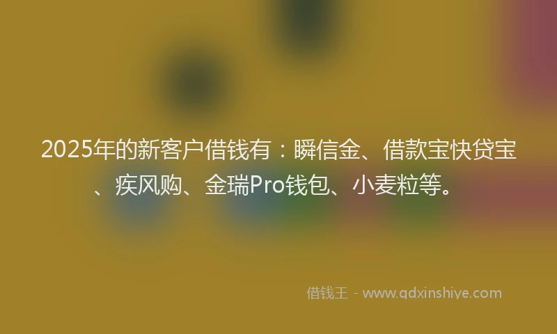 2025年的新客户借钱有：瞬信金、借款宝快贷宝、疾风购、金瑞Pro钱包、小麦粒等。