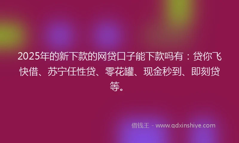 2025年的新下款的网贷口子能下款吗有：贷你飞快借、苏宁任性贷、零花罐、现金秒到、即刻贷等。