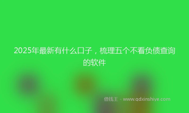 2025年最新有什么口子，梳理五个不看负债查询的软件