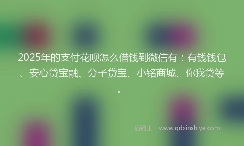 2025年的支付花呗怎么借钱到微信有：有钱钱包、安心贷宝融、分子贷宝、小铭商城、你我贷等。