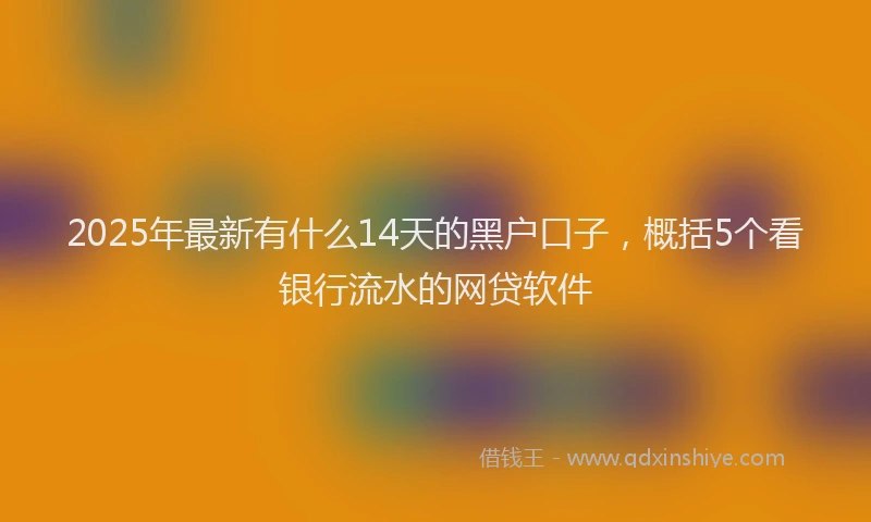 2025年最新有什么14天的黑户口子，概括5个看银行流水的网贷软件