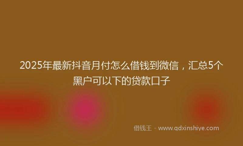2025年最新抖音月付怎么借钱到微信，汇总5个黑户可以下的贷款口子