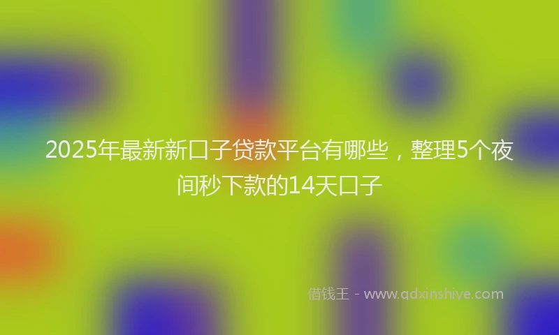 2025年最新新口子贷款平台有哪些，整理5个夜间秒下款的14天口子