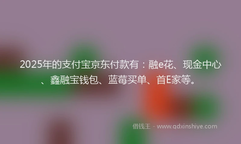 2025年的支付宝京东付款有：融e花、现金中心、鑫融宝钱包、蓝莓买单、首E家等。