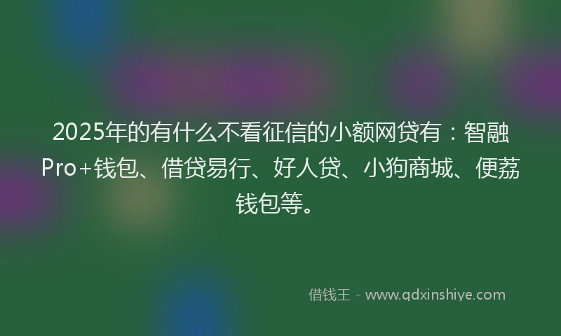 2025年的有什么不看征信的小额网贷有：智融Pro+钱包、借贷易行、好人贷、小狗商城、便荔钱包等。