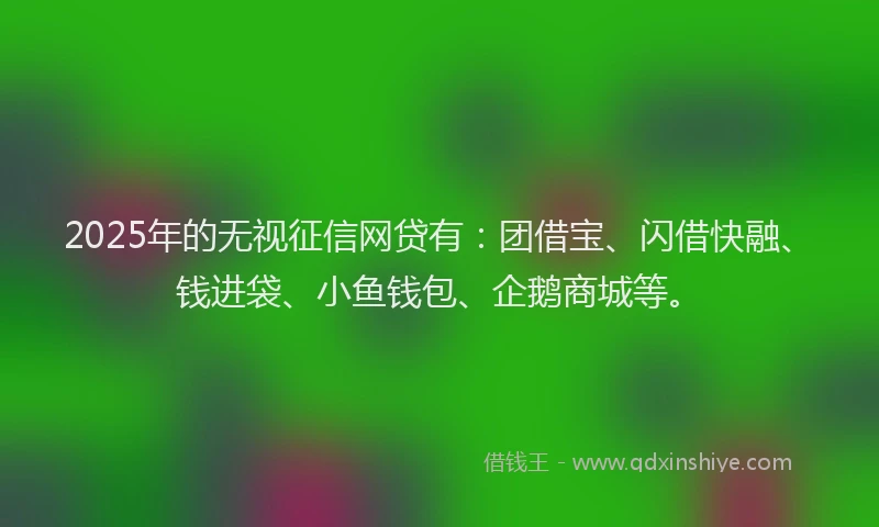 2025年的无视征信网贷有：团借宝、闪借快融、钱进袋、小鱼钱包、企鹅商城等。