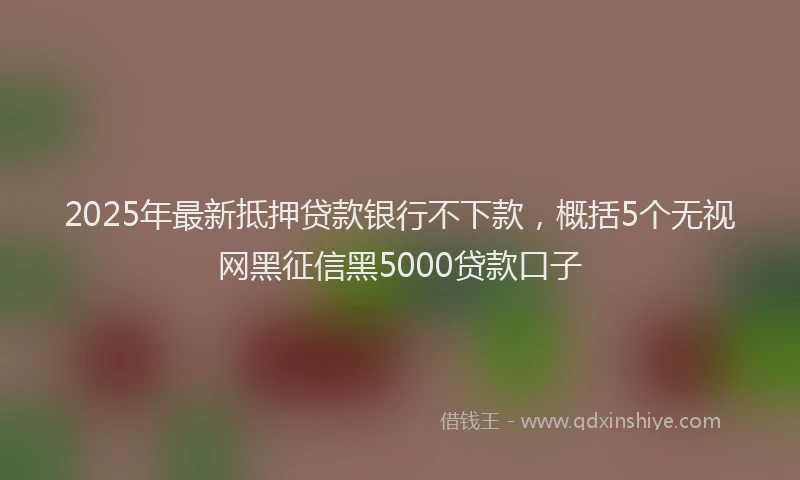 2025年最新抵押贷款银行不下款，概括5个无视网黑征信黑5000贷款口子