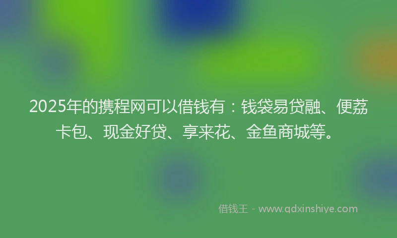 2025年的携程网可以借钱有：钱袋易贷融、便荔卡包、现金好贷、享来花、金鱼商城等。