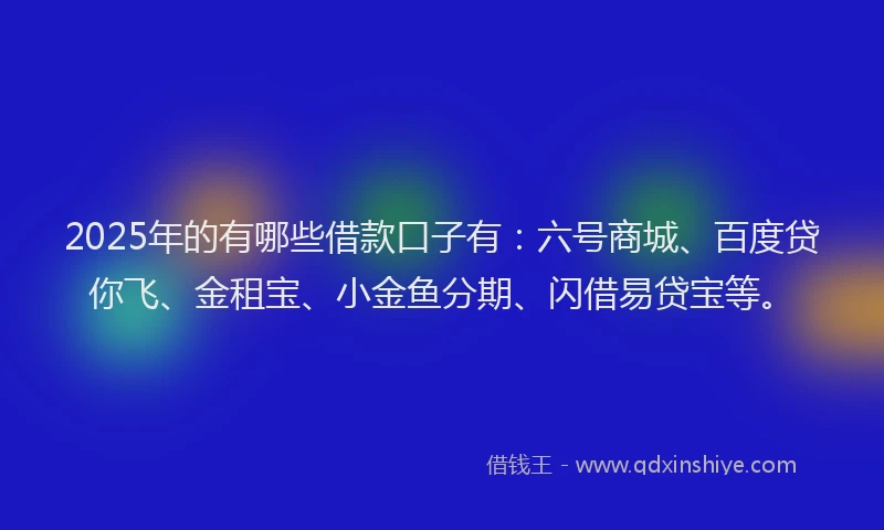 2025年的有哪些借款口子有：六号商城、百度贷你飞、金租宝、小金鱼分期、闪借易贷宝等。