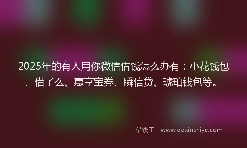 2025年的有人用你微信借钱怎么办有：小花钱包、借了么、惠享宝券、瞬信贷、琥珀钱包等。