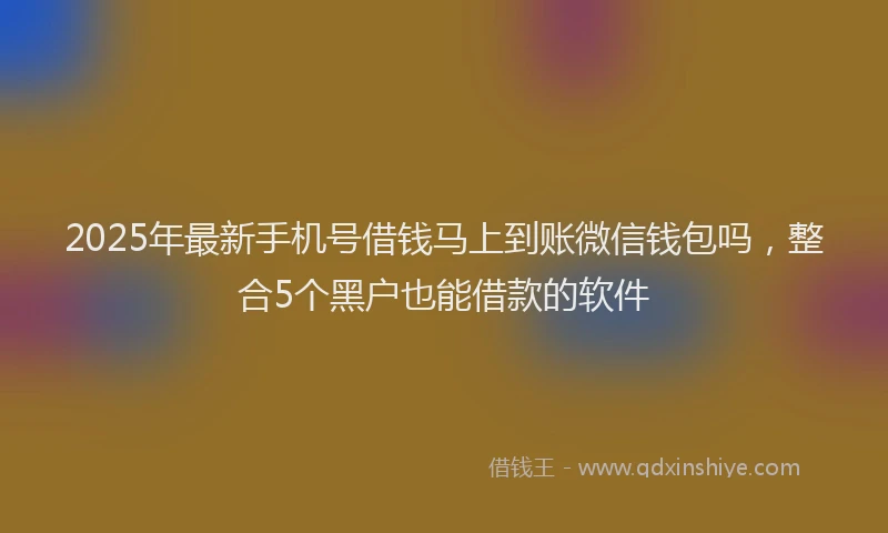 2025年最新手机号借钱马上到账微信钱包吗，整合5个黑户也能借款的软件