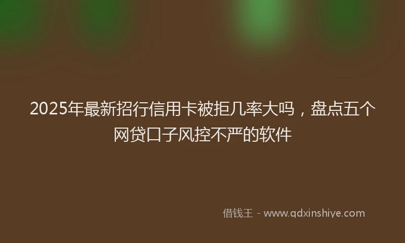 2025年最新招行信用卡被拒几率大吗，盘点五个网贷口子风控不严的软件