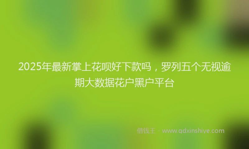 2025年最新掌上花呗好下款吗，罗列五个无视逾期大数据花户黑户平台
