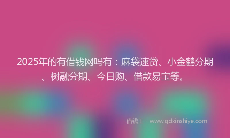 2025年的有借钱网吗有：麻袋速贷、小金鹤分期、树融分期、今日购、借款易宝等。