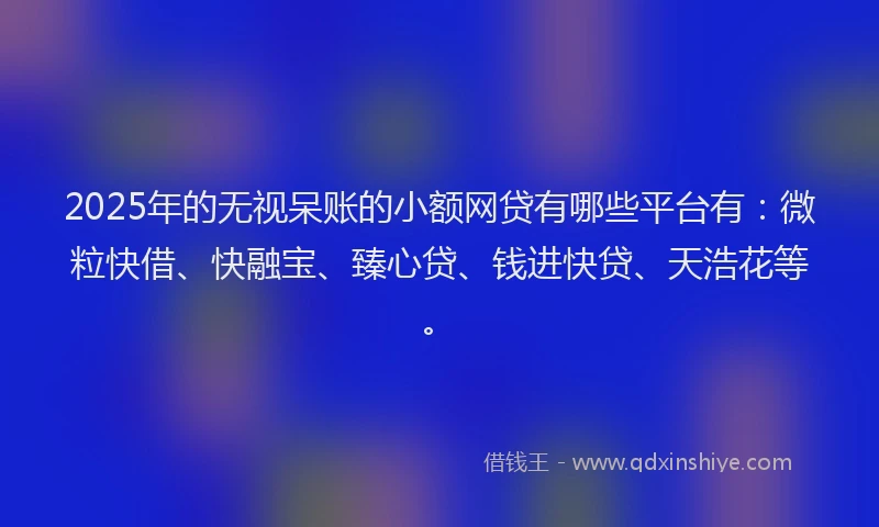 2025年的无视呆账的小额网贷有哪些平台有：微粒快借、快融宝、臻心贷、钱进快贷、天浩花等。