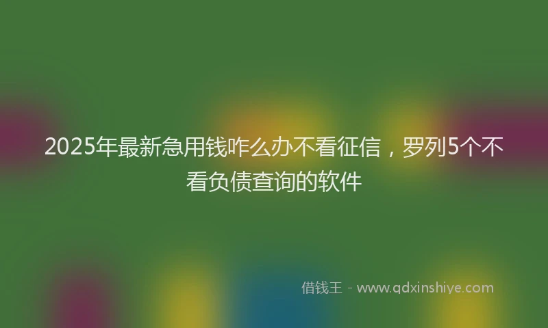 2025年最新急用钱咋么办不看征信，罗列5个不看负债查询的软件