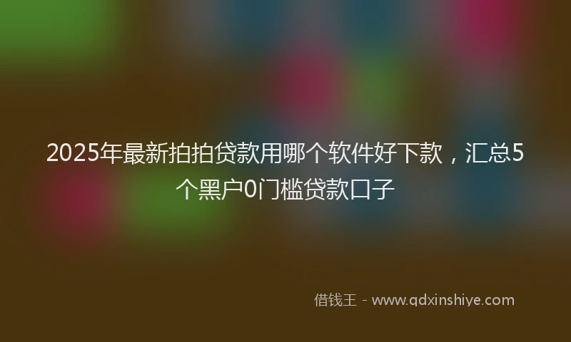 2025年最新拍拍贷款用哪个软件好下款，汇总5个黑户0门槛贷款口子