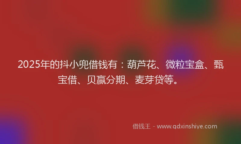 2025年的抖小兜借钱有：葫芦花、微粒宝盒、甄宝借、贝赢分期、麦芽贷等。