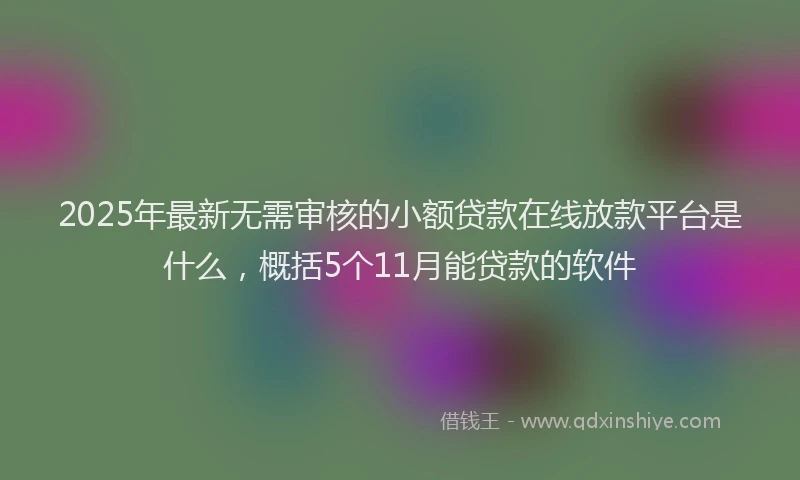 2025年最新无需审核的小额贷款在线放款平台是什么，概括5个11月能贷款的软件