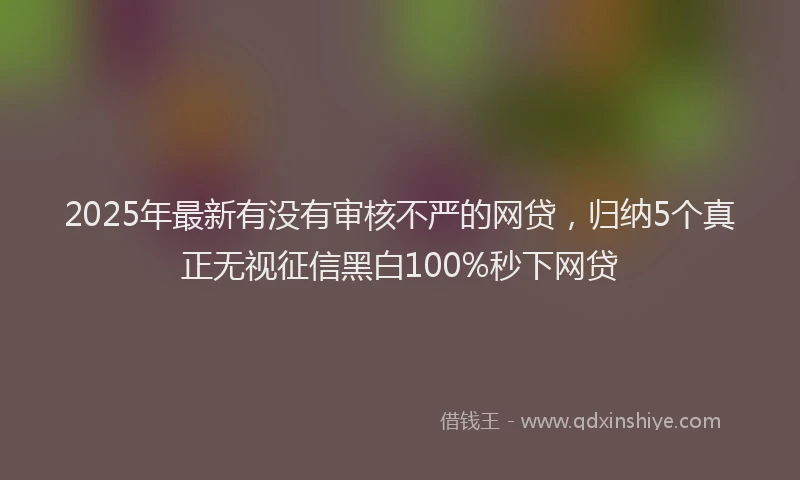 2025年最新有没有审核不严的网贷，归纳5个真正无视征信黑白100%秒下网贷