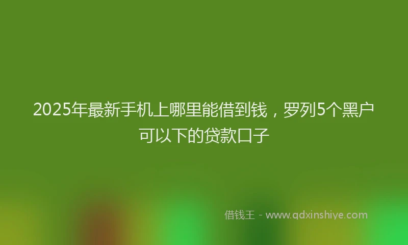 2025年最新手机上哪里能借到钱，罗列5个黑户可以下的贷款口子