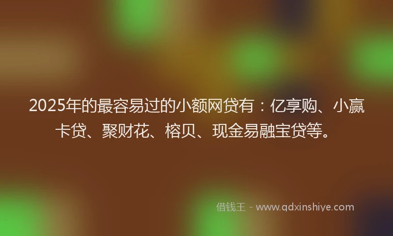 2025年的最容易过的小额网贷有：亿享购、小赢卡贷、聚财花、榕贝、现金易融宝贷等。