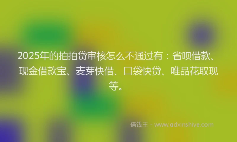 2025年的拍拍贷审核怎么不通过有：省呗借款、现金借款宝、麦芽快借、口袋快贷、唯品花取现等。