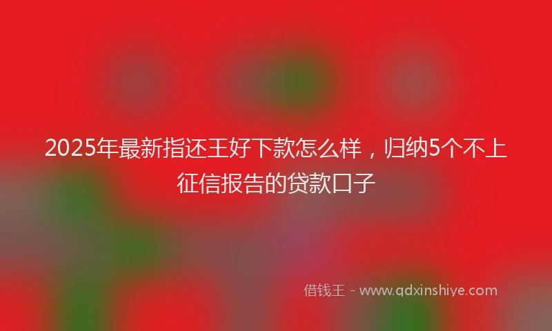 2025年最新指还王好下款怎么样，归纳5个不上征信报告的贷款口子