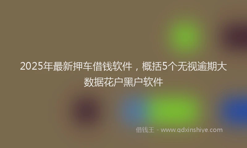 2025年最新押车借钱软件，概括5个无视逾期大数据花户黑户软件