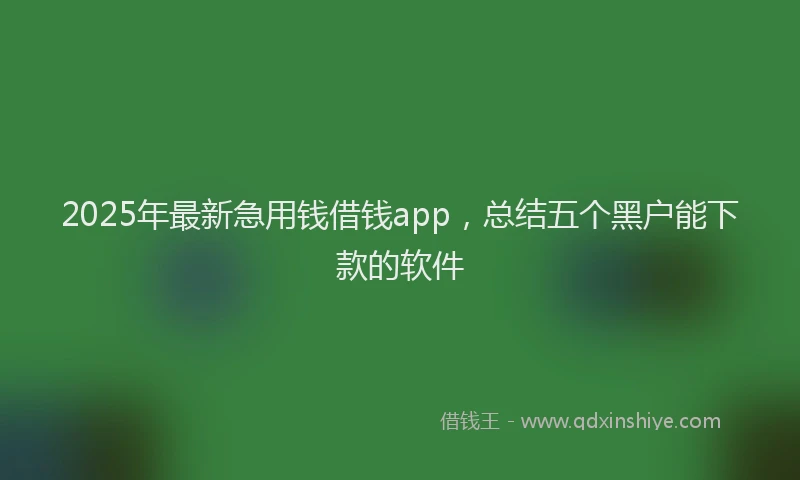 2025年最新急用钱借钱app，总结五个黑户能下款的软件