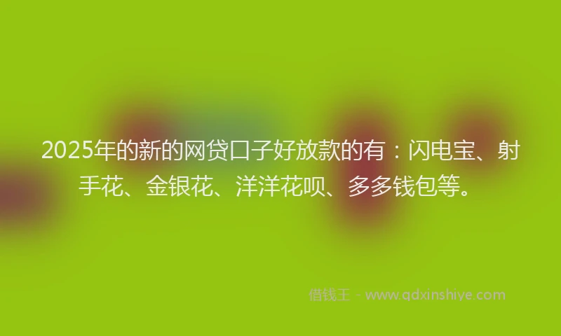 2025年的新的网贷口子好放款的有：闪电宝、射手花、金银花、洋洋花呗、多多钱包等。