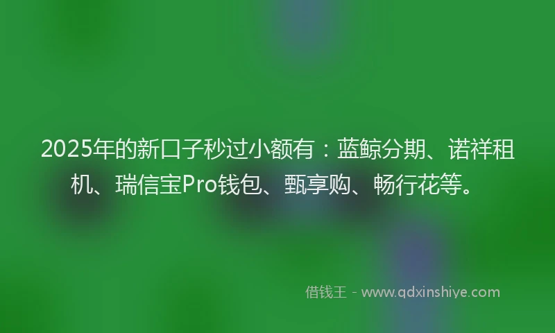 2025年的新口子秒过小额有：蓝鲸分期、诺祥租机、瑞信宝Pro钱包、甄享购、畅行花等。
