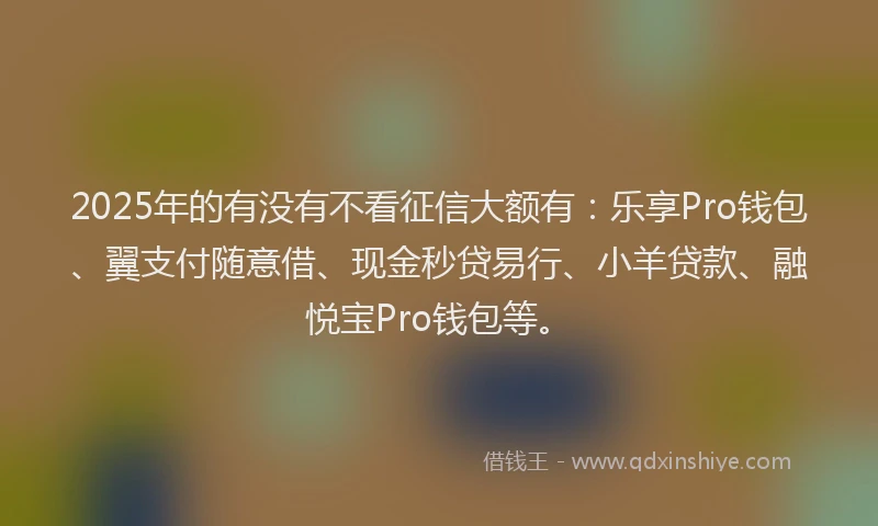 2025年的有没有不看征信大额有：乐享Pro钱包、翼支付随意借、现金秒贷易行、小羊贷款、融悦宝Pro钱包等。