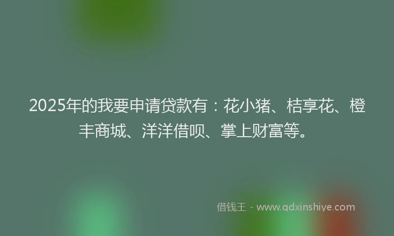 2025年的我要申请贷款有：花小猪、桔享花、橙丰商城、洋洋借呗、掌上财富等。