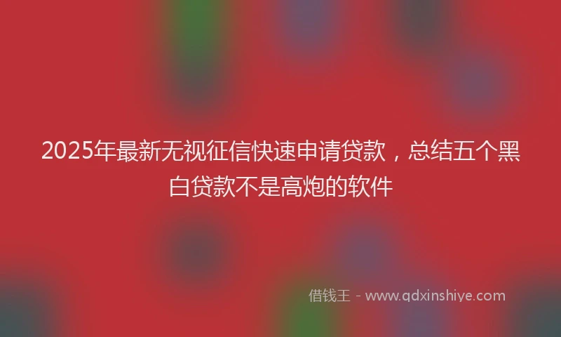 2025年最新无视征信快速申请贷款，总结五个黑白贷款不是高炮的软件