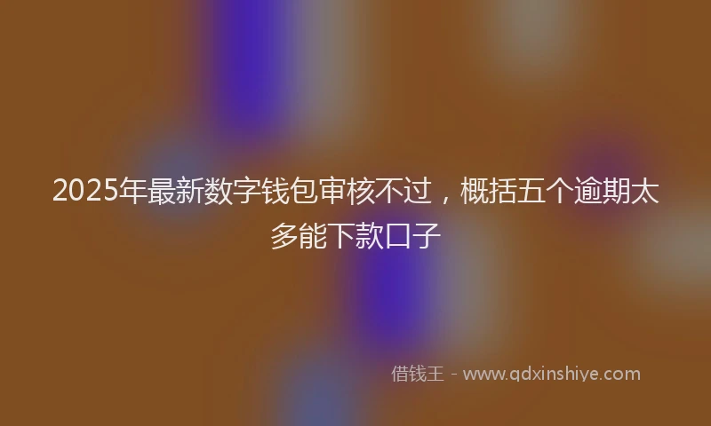 2025年最新数字钱包审核不过，概括五个逾期太多能下款口子