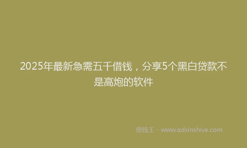 2025年最新急需五千借钱，分享5个黑白贷款不是高炮的软件