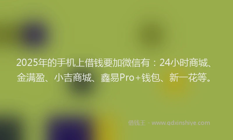 2025年的手机上借钱要加微信有：24小时商城、金满盈、小吉商城、鑫易Pro+钱包、新一花等。