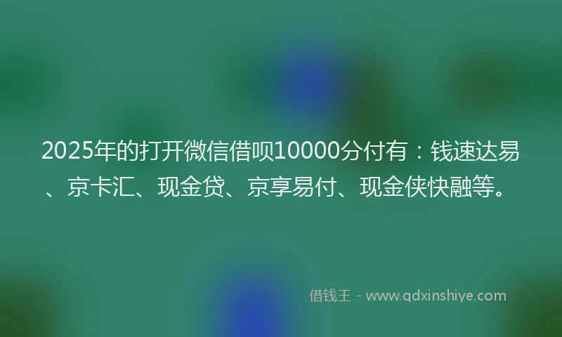 2025年的打开微信借呗10000分付有：钱速达易、京卡汇、现金贷、京享易付、现金侠快融等。