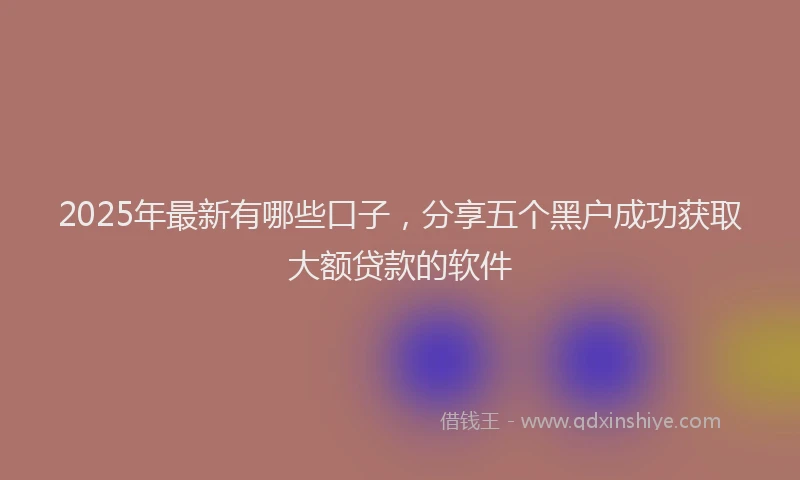 2025年最新有哪些口子，分享五个黑户成功获取大额贷款的软件