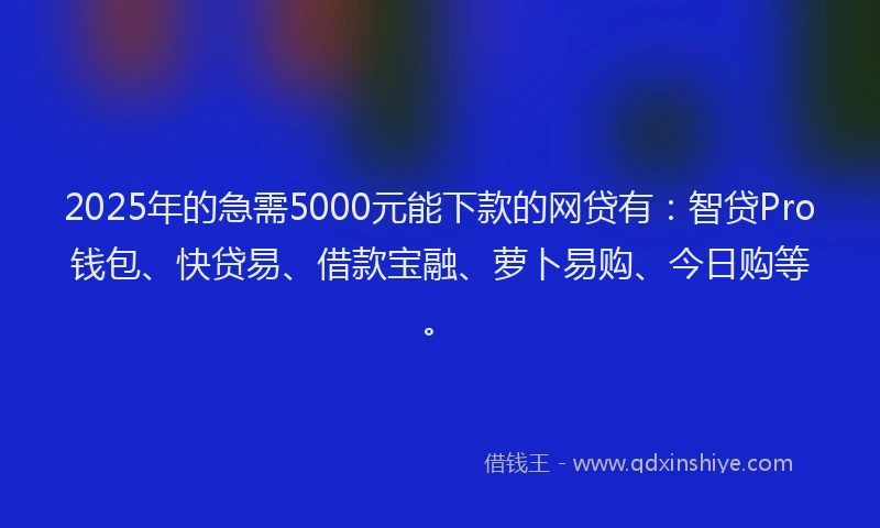 2025年的急需5000元能下款的网贷有：智贷Pro钱包、快贷易、借款宝融、萝卜易购、今日购等。