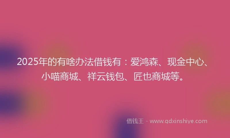 2025年的有啥办法借钱有：爱鸿森、现金中心、小喵商城、祥云钱包、匠也商城等。