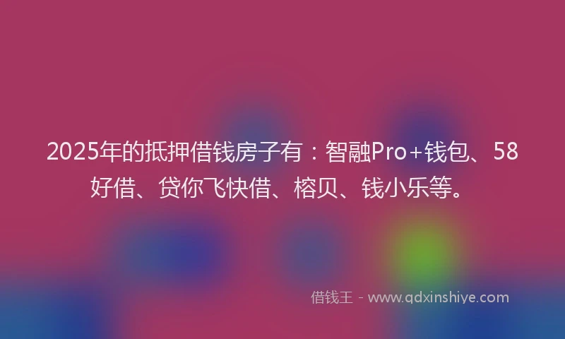 2025年的抵押借钱房子有：智融Pro+钱包、58好借、贷你飞快借、榕贝、钱小乐等。